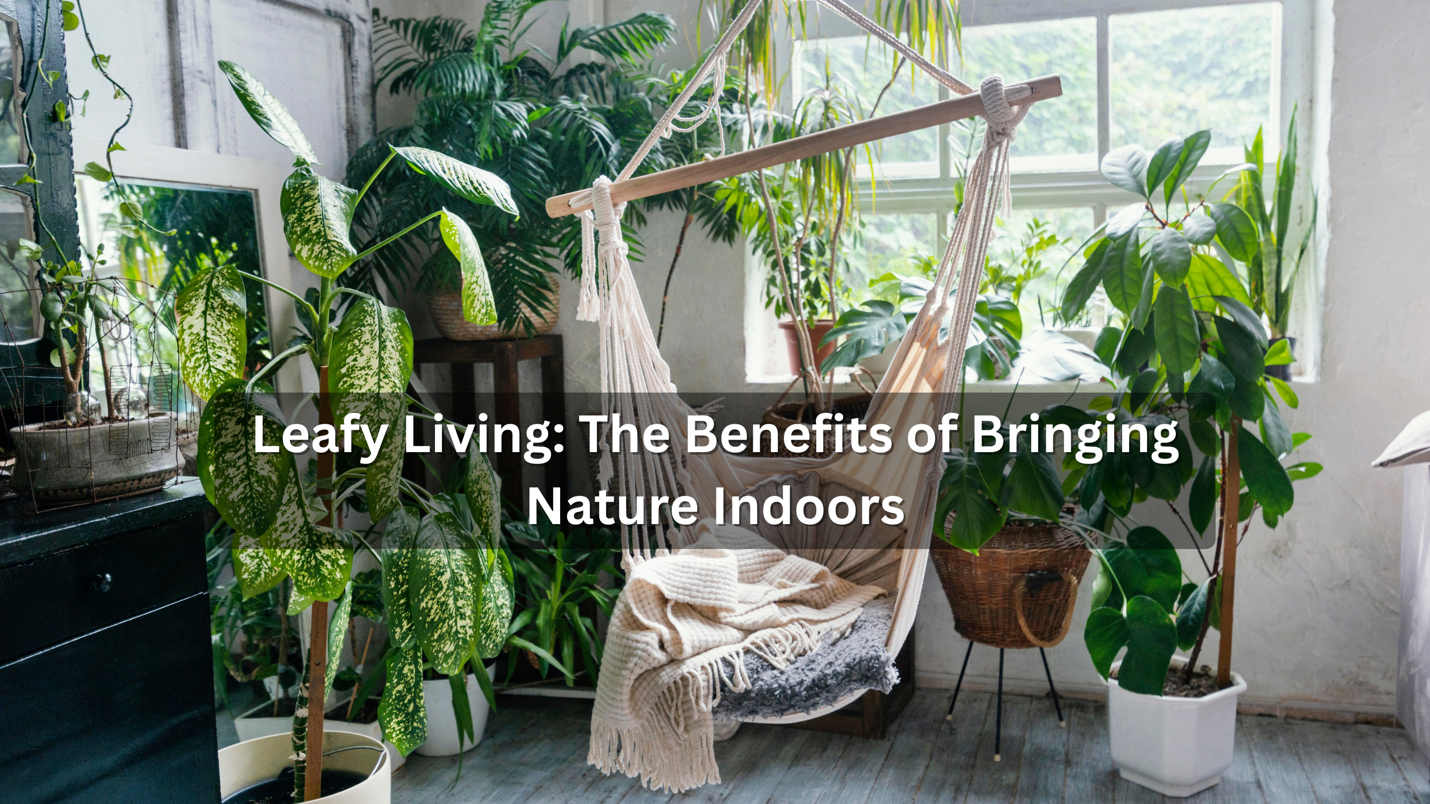Leafy Living: The Benefits of Bringing Nature Indoors – Plantonix