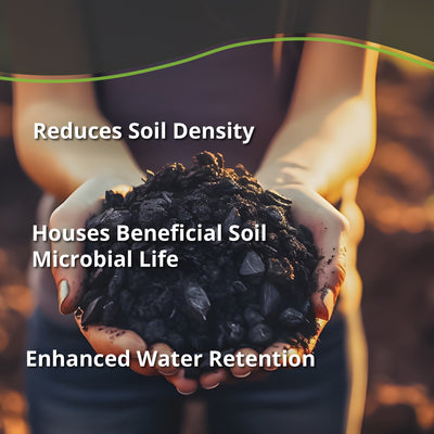 Char Bliss - Premium Biochar Soil Amendment