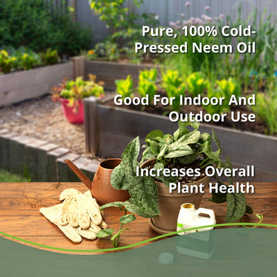 Neem Bliss Oil 100% Pure Cold Pressed Neem Oil OMRI Listed