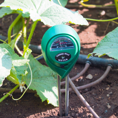 3 in 1 soil meter in the soil next to a squash plant with an irrigation line in the background.