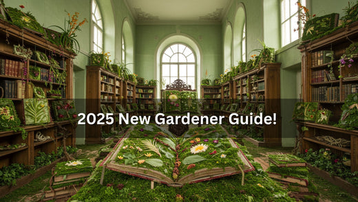 Grow With Us | Plantonix Blog