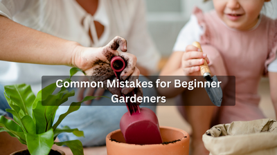 Common Mistakes for Beginner Gardeners