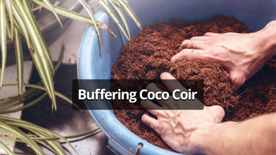 Buffering Coco Coir