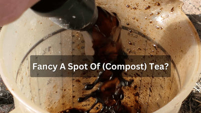 Fancy A Spot Of (Compost) Tea?