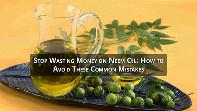 Stop Wasting Money on Neem Oil: How to Avoid These Common Mistakes