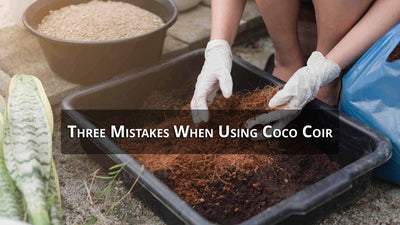 Three Common Mistakes When Using Coco Coir