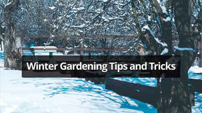 Winter Gardening Tips and Tricks!