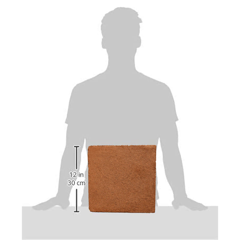 A 10lb block of coco coir is shown in front of a silhouette of a man to show its size. On the left side of the block are height dimensions that read 12 inches and 30 centimeters. 