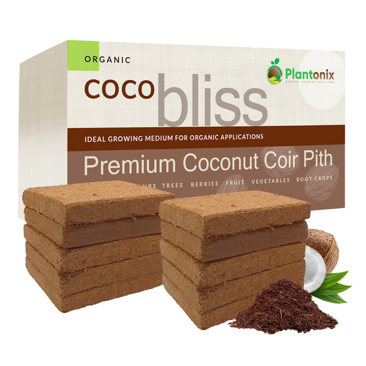 COCOページ Coco_Bliss_250gm_10-Pack_-