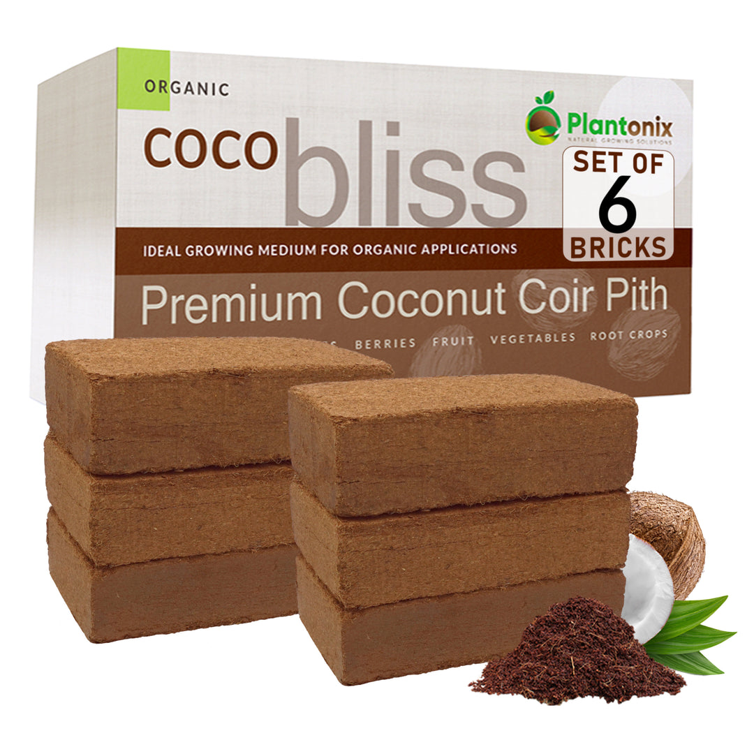 Coco_Bliss_650gm_6-Pack_-