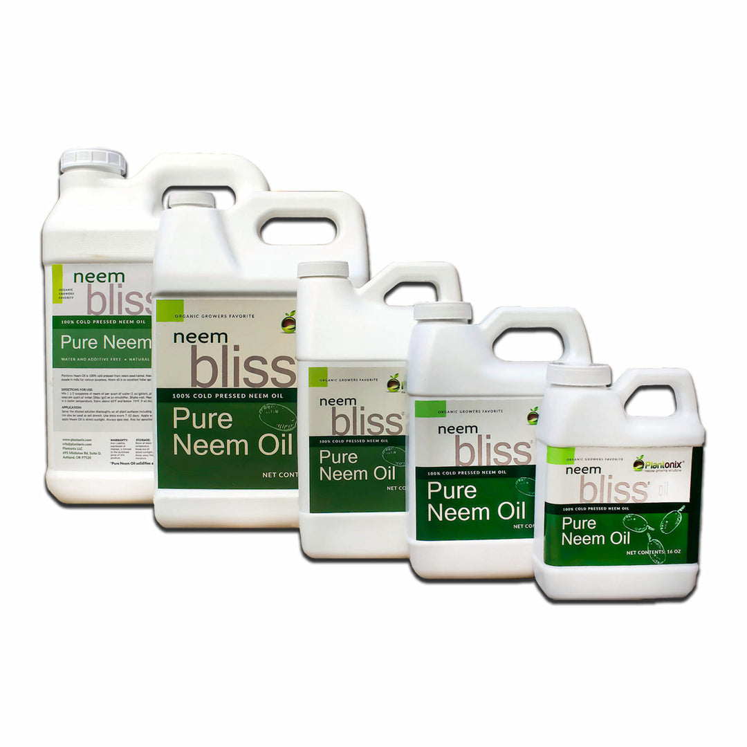 Neem Bliss Oil - Pure Cold-pressed Neem Oil