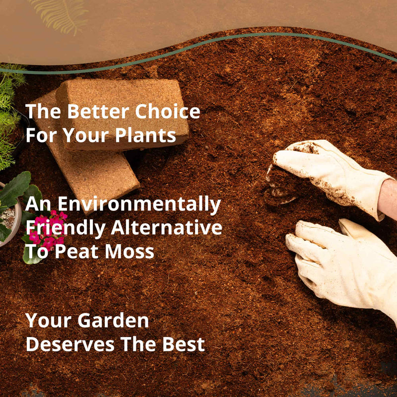 Coco Bliss - 650g Coco Coir Bricks