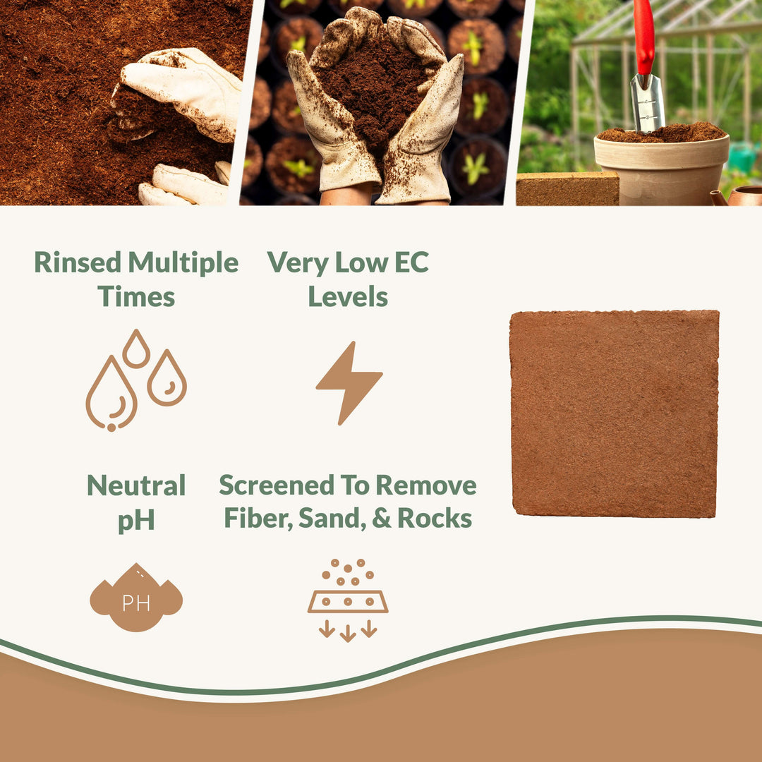 Plantonix_Infographics_-