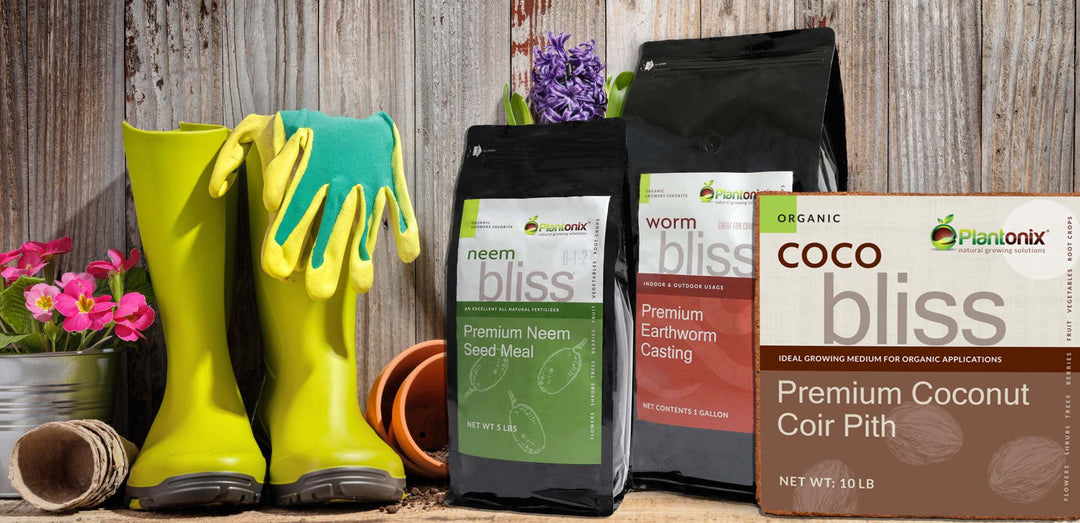 About Us | Plantonix About Us | Plantonix