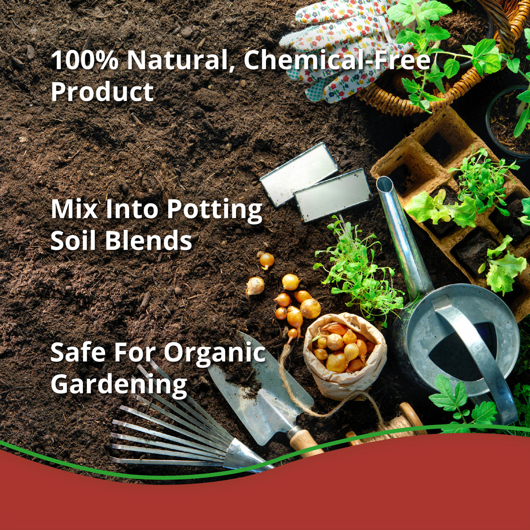 Worm Bliss - Earthworm Casting Fertilizer | Plantonix