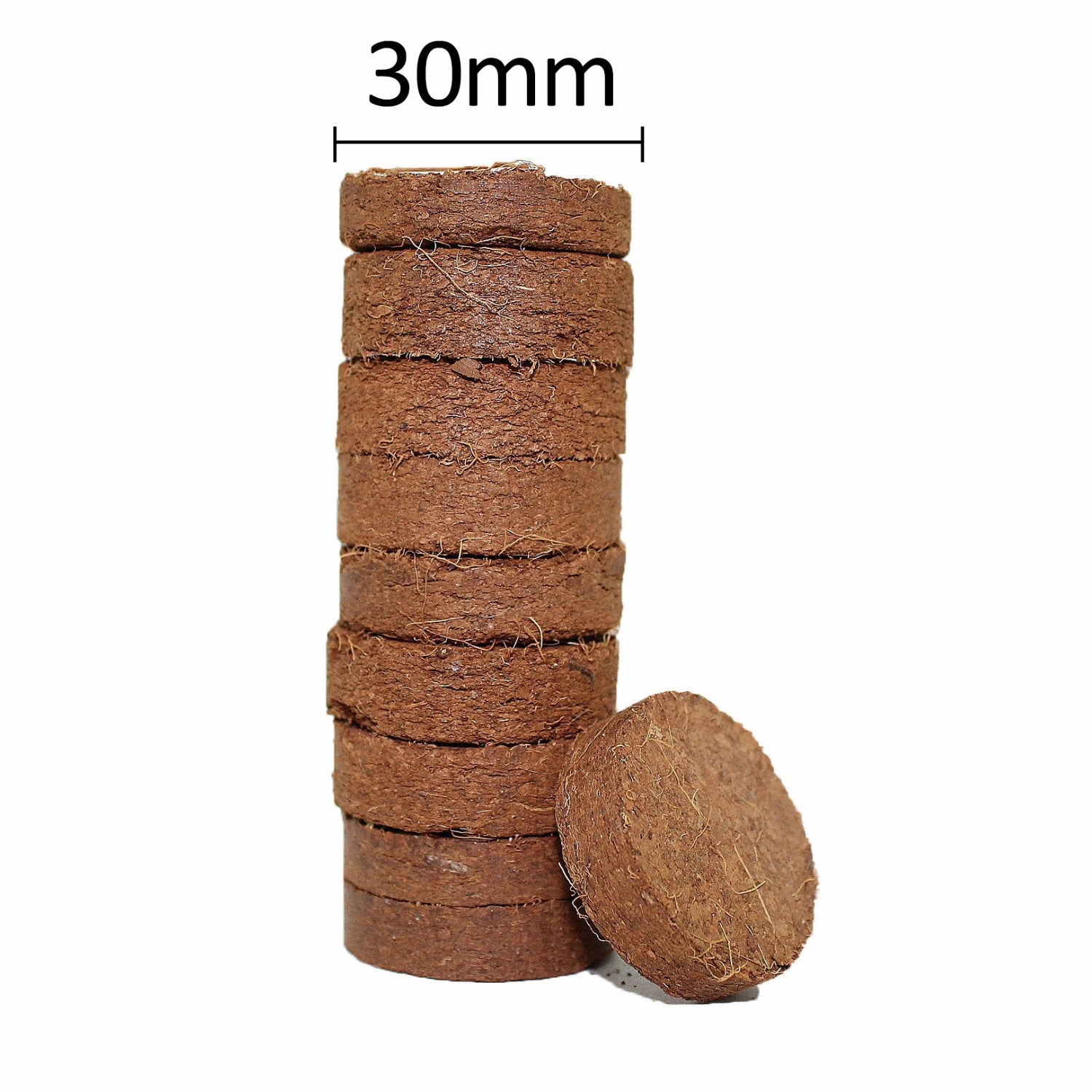 COCO Coco Bliss Discs - Coco Pith Discs | Plantonix