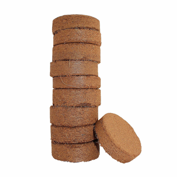 coco-disk-60mm_720x.jpg?v=