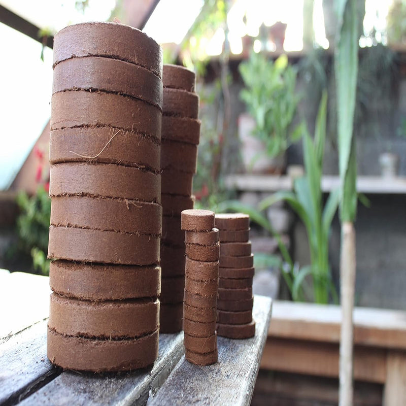 Coco coir disks placed in stacks of four on a wooden table inside of a greenhouse. 