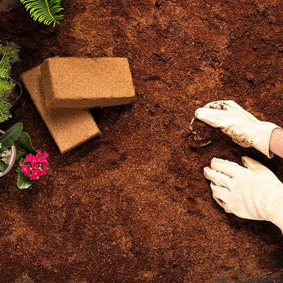 Gloved hands working on a garden bed of coco coir. Two blocks of coco coir are seen in the left corner.