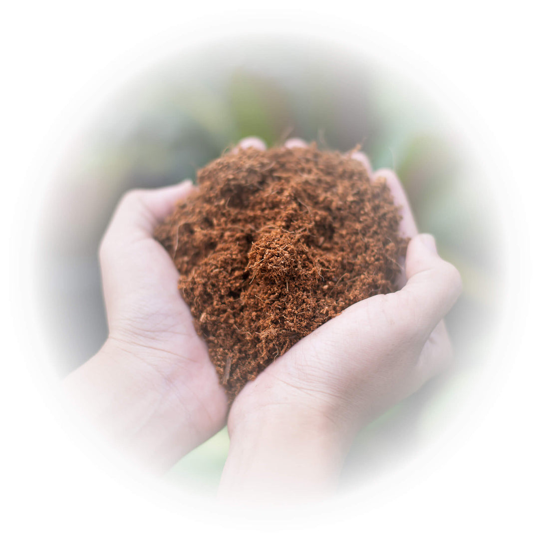 Coco Bliss - Organic Coco Coir Pith – Plantonix