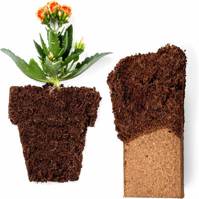A loose pile of hydrated coco coir in the shape of a flower pot. There is a flower coming out of the top. Next to the pile is a half hydrated brick of premium coconut coir pith. 