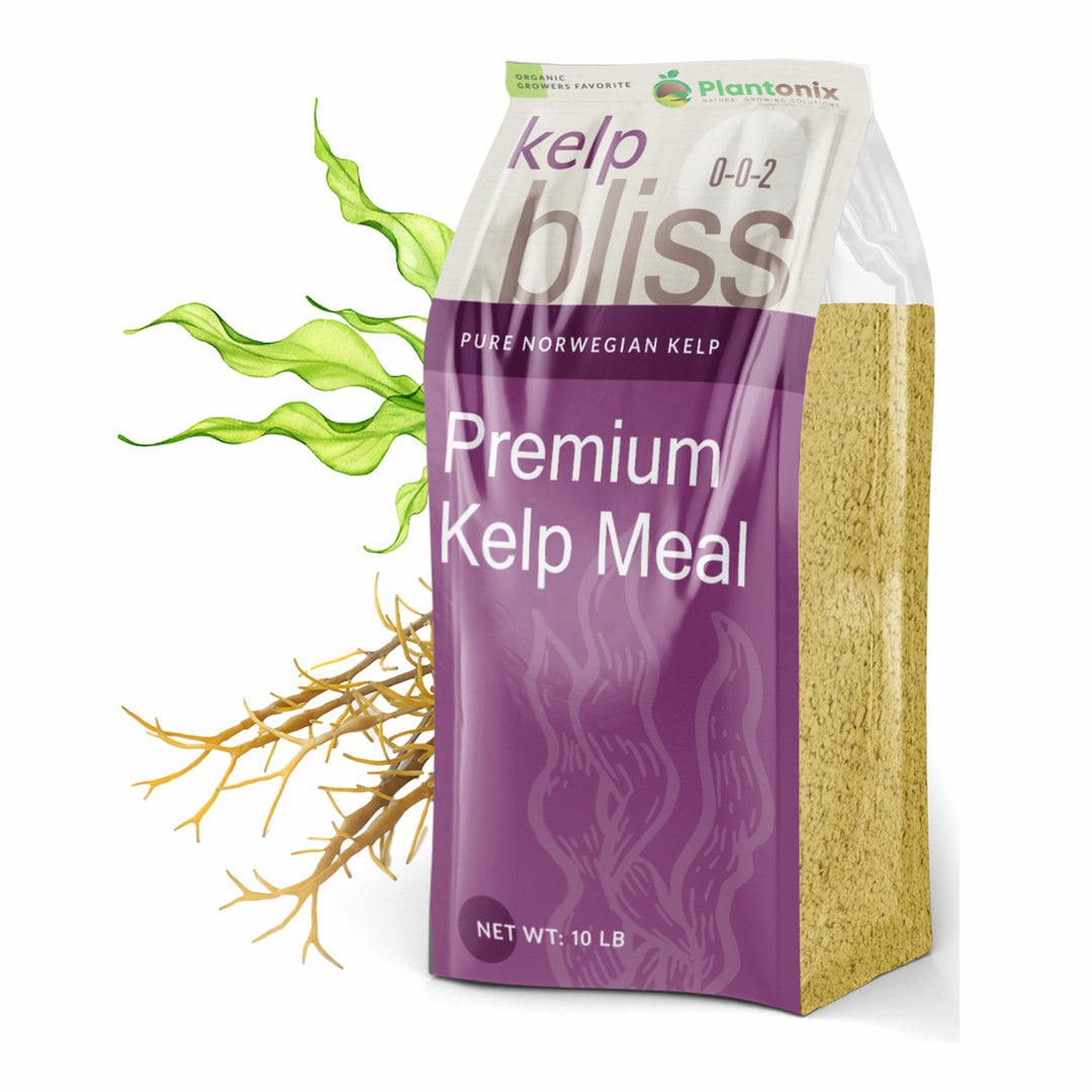 Kelp Bliss Meal - Kelp Meal Soil Amendment & Fertilizer | Plantonix