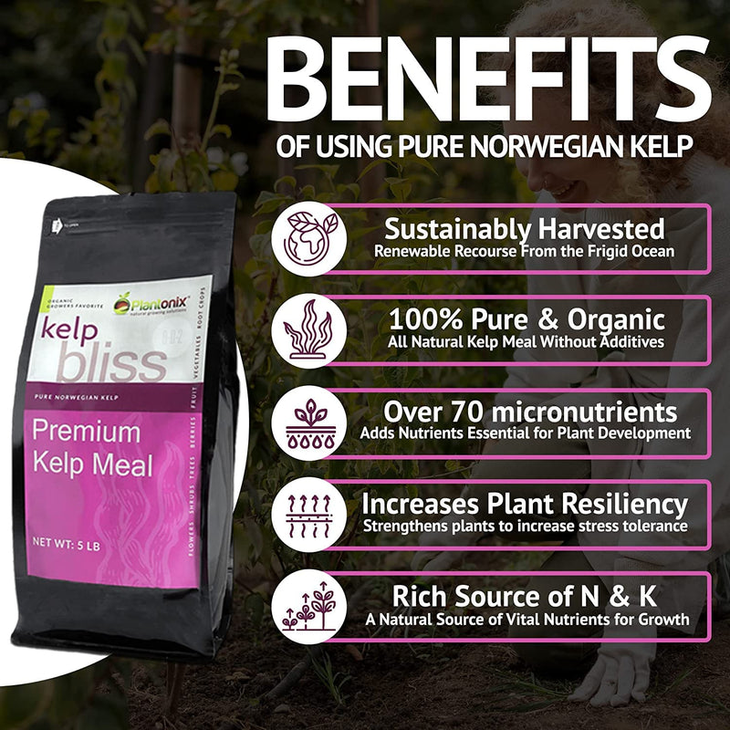 Infographic showing the benefits of kelp meal next to a five pound bag of premium kelp meal. 