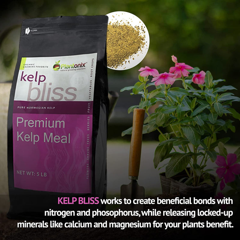 A five pound bag of premium kelp meal next to a trowel and a potted plant. There is a loose pile of kelp meal to show texture.  