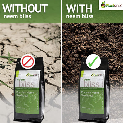 A side-by-side example of soils treat with and without neem seed meal. 