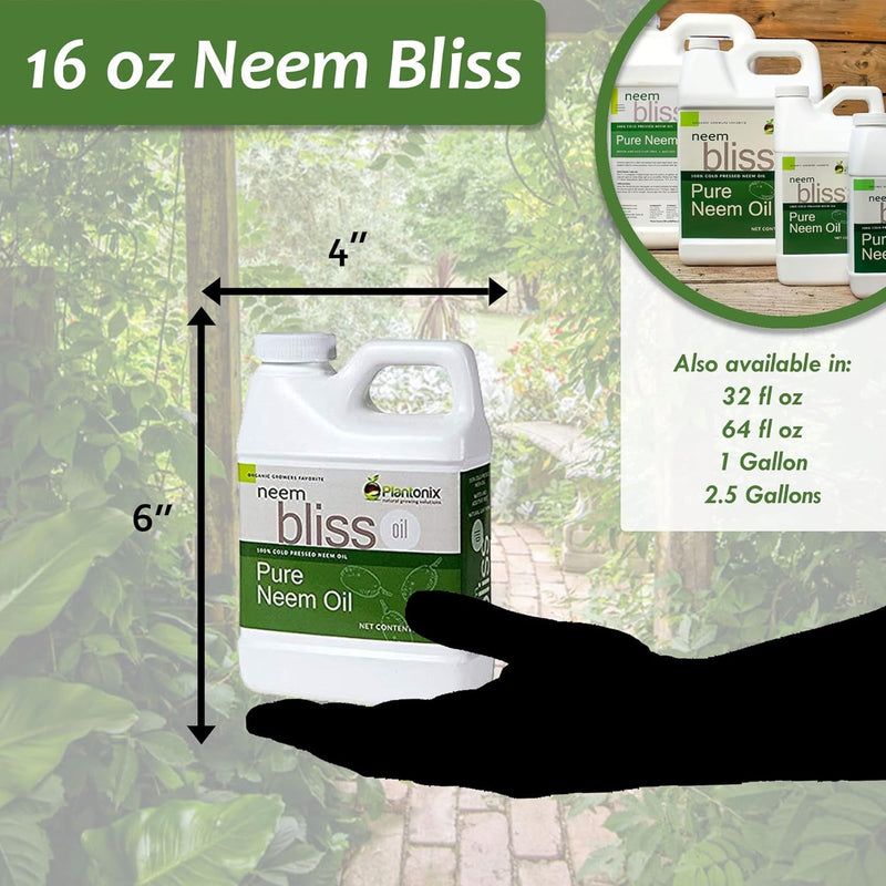 The dimensions of a 16oz Neem Bliss bottle and the sizes available. 