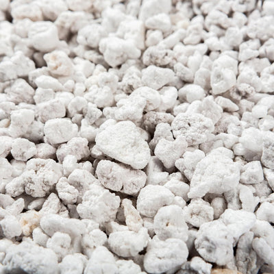 A close up image of perlite to show texture. 