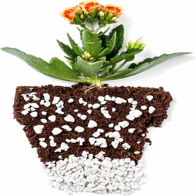 A perlite and coconut coir mixture in the shape of a flower pot with a flower planted in the top.