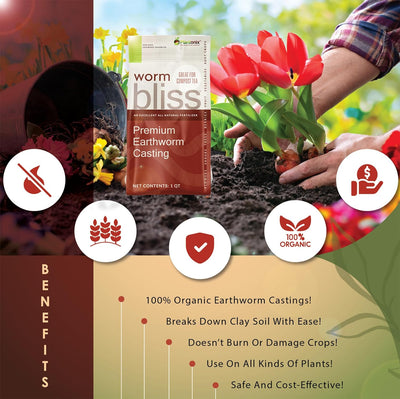 An infographic showing the benefits of premium earthworm castings.