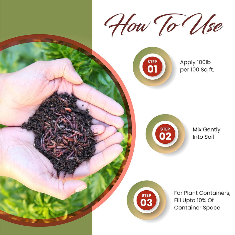 An infographic explaining the best way to use earthworm castings.