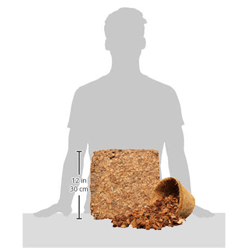 A block of premium coconut chips in front of a silhouette of a person to show size comparison. 