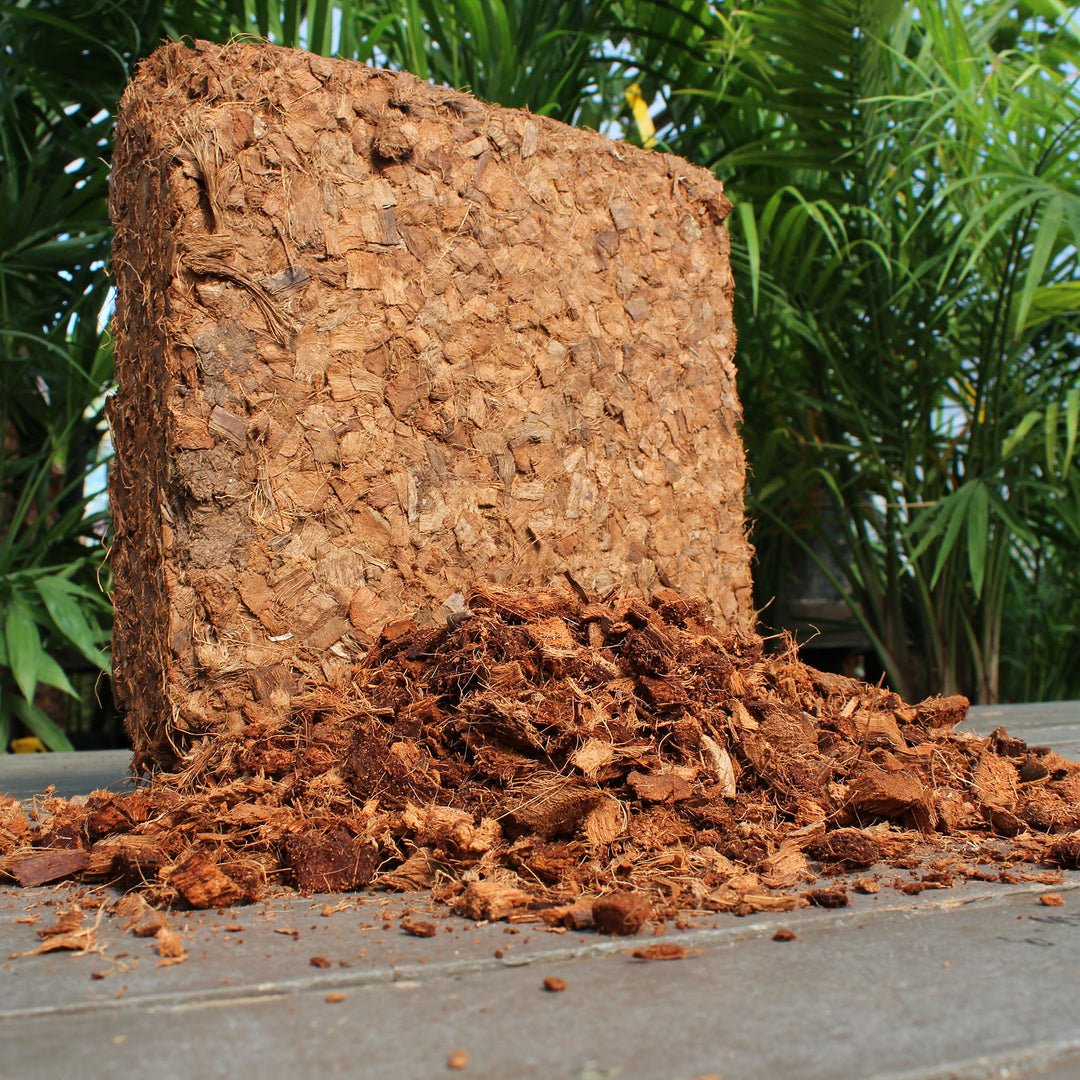 coco chips potting mix Coco Bliss Chips - 10 lb Coconut Husk Chips