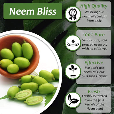Plantonix Neem Bliss 100% pure cold-pressed neem oil is high quality, effective and fresh. We bring our neem oil straight from India, there are no additives or chemicals. It is freshly extracted from organic neem plants. 