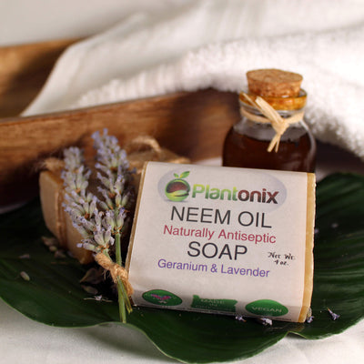 Plantonix Neem Bliss neem soap on a table with leaves, lavender, and neem oil.