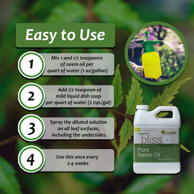 Plantonix Neem Bliss is easy to use. Step one: mix 1 and 1/2 teaspoons of neem oil per quart of water, or one ounce per gallon. Step two: add 1/2 teaspoons of mild dish soap per quart of water, or 2 teaspoons per gallon. Step three: spray the diluted solution on all leaf surfaces, including the underside of leaves. Step four: Repeat every two to four weeks.