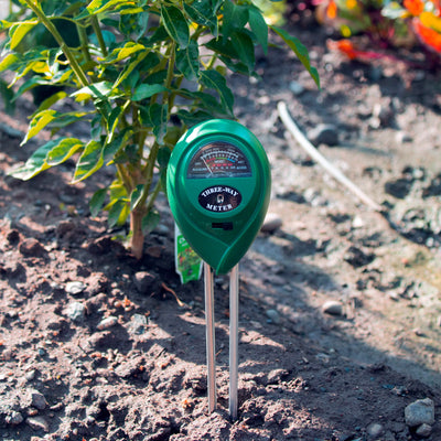 3 in 1 soil meter in the soil next to a pepper plant.