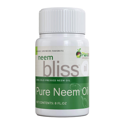 Neem Bliss